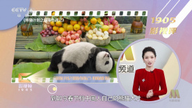 久久精品影视